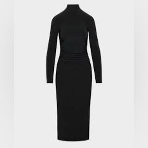 Aritzia Remedy Dress
